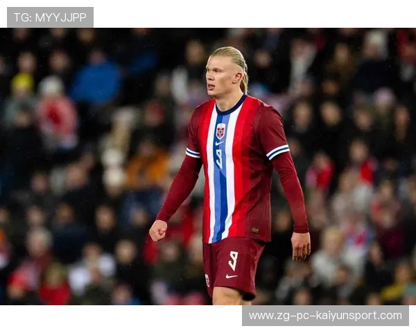 哈兰德点球与禁区表现数据引媒体热议，哈兰德精选